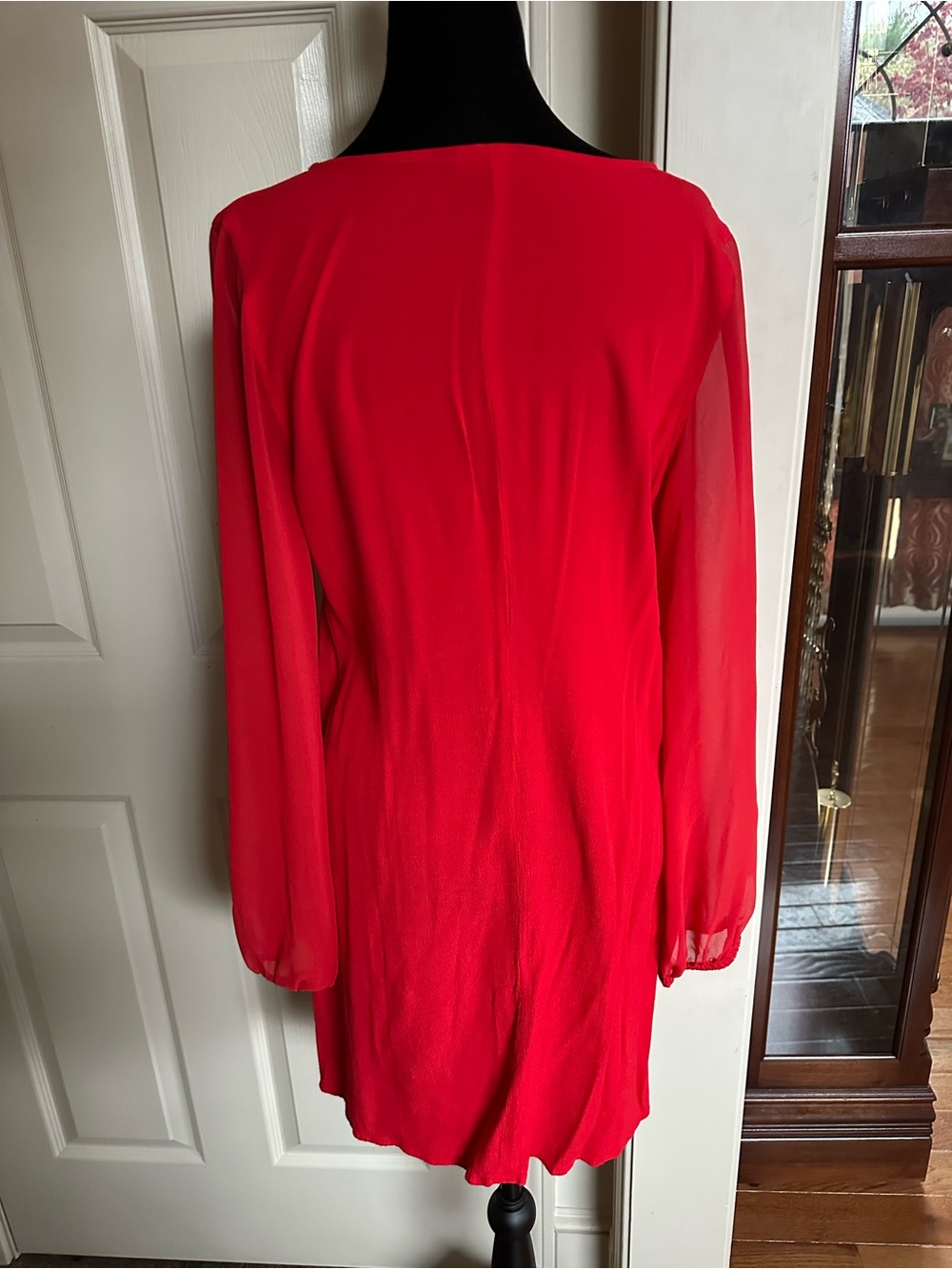 Express Dress - Picture 2 of 5